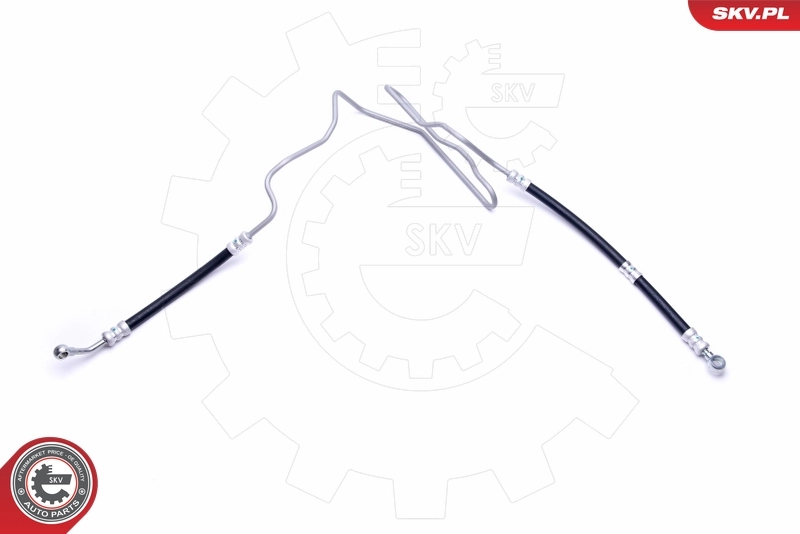 10SKV808 SKV