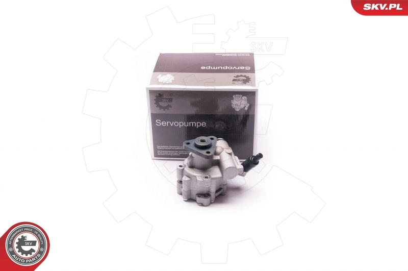 10SKV030 SKV