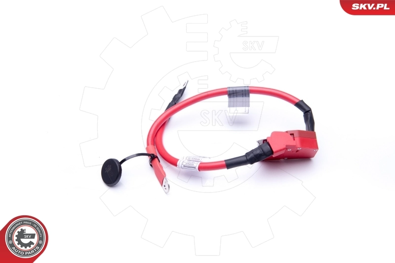 Comprar 41915001 AND Cable de terminal positivo de batería