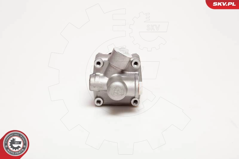 Bomba de dirección asistida  SKV 10SKV005 precio, desde 55,18 EUR