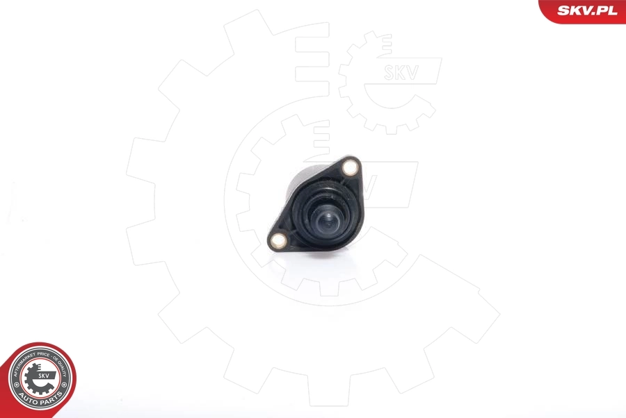 08SKV022 SKV