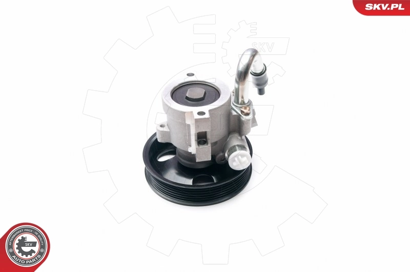 Bomba de dirección asistida  Chevrolet Aveo II sedán (T250, T255) (2005 - 2011) precio, desde 76,00 USD