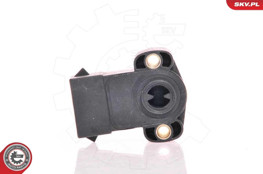 17SKV001 SKV Sensor de posición del acelerador