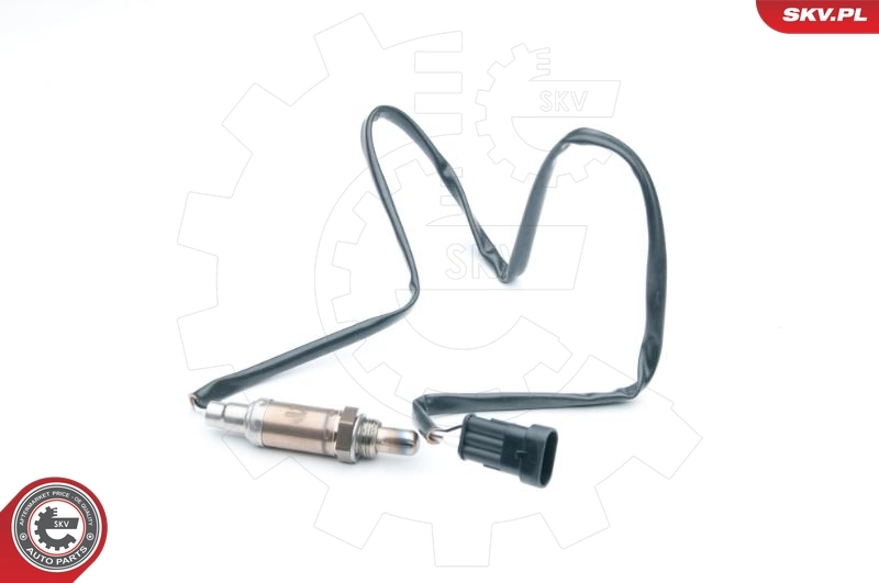 09SKV549 SKV
