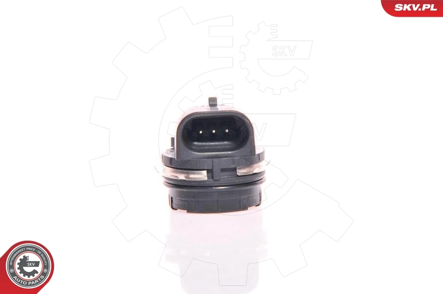 17SKV013 SKV
