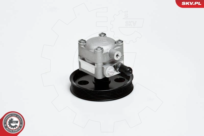 10SKV176 SKV