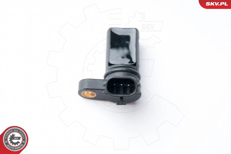 17SKV255 SKV