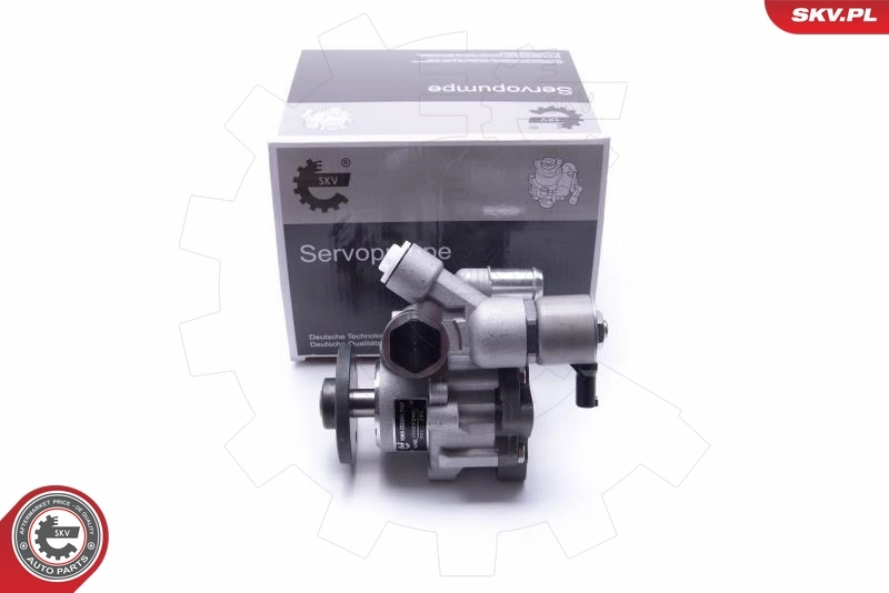 10SKV290 SKV