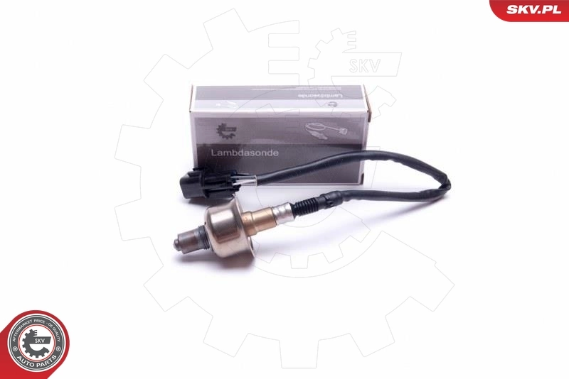 09SKV443 SKV
