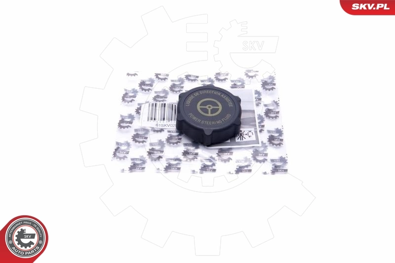 61SKV029 SKV