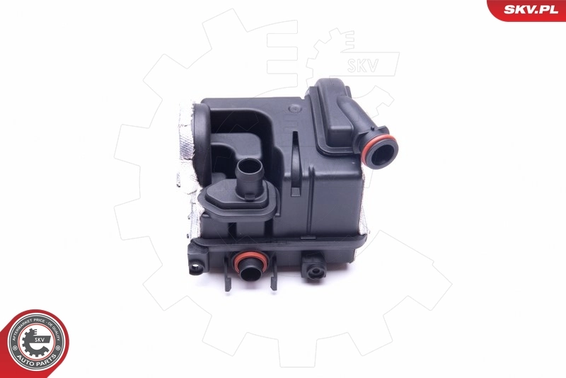 31SKV138 SKV