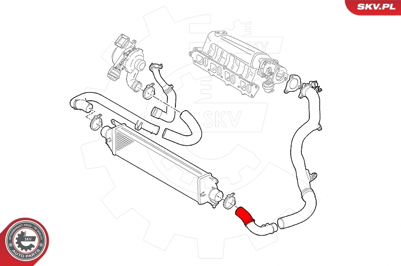 Manguera del intercooler NRF 166481 precio, desde 11,42 EUR