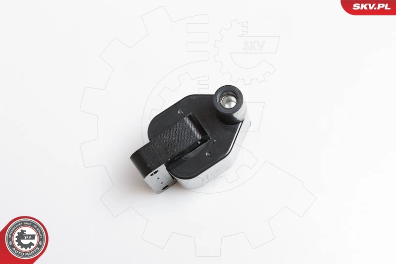 Bobina de chispa SKV 03SKV092 precio, desde 19,86 EUR