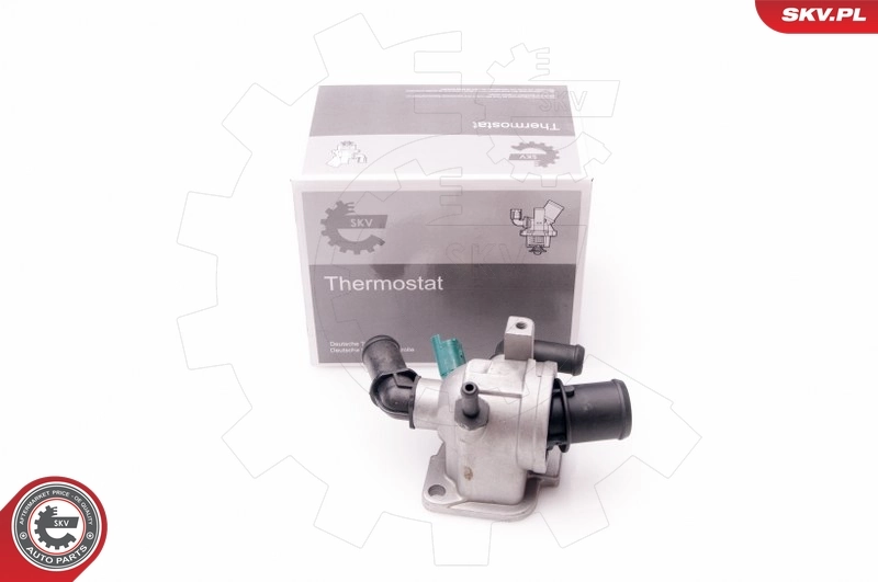 Comprar Termostato Fiat Doblo  263 a bajo precio