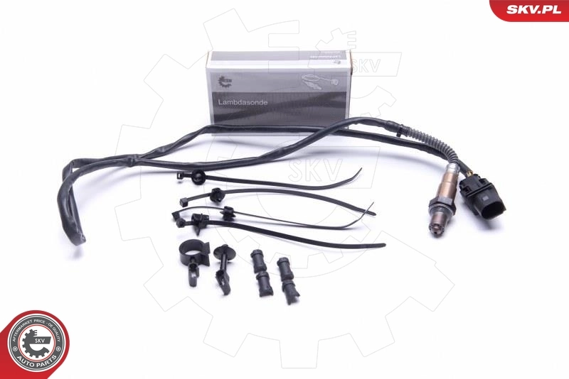 09SKV419 SKV