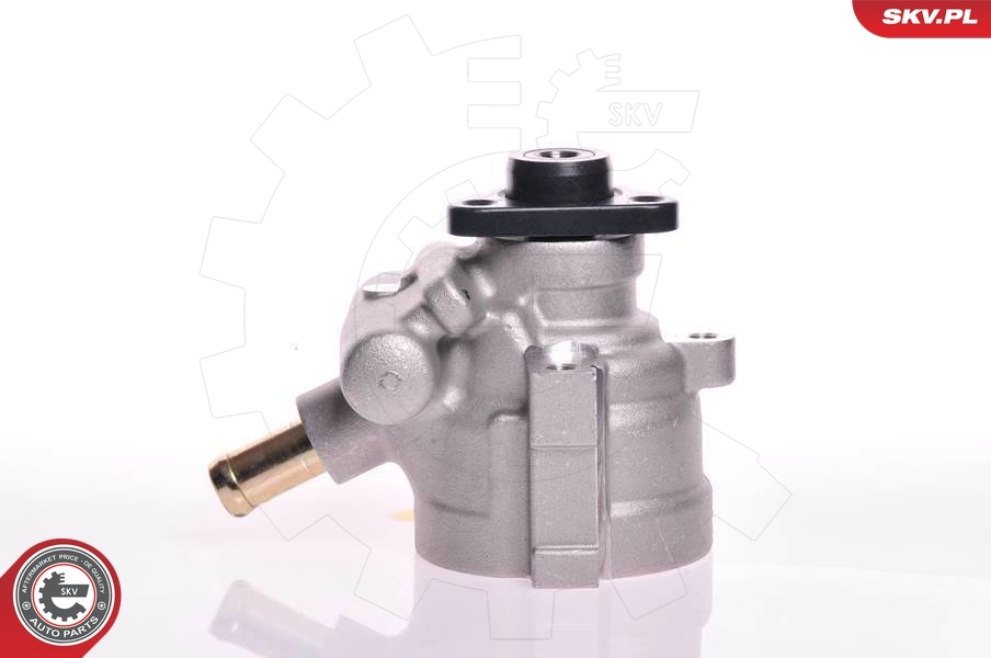 10SKV141 SKV