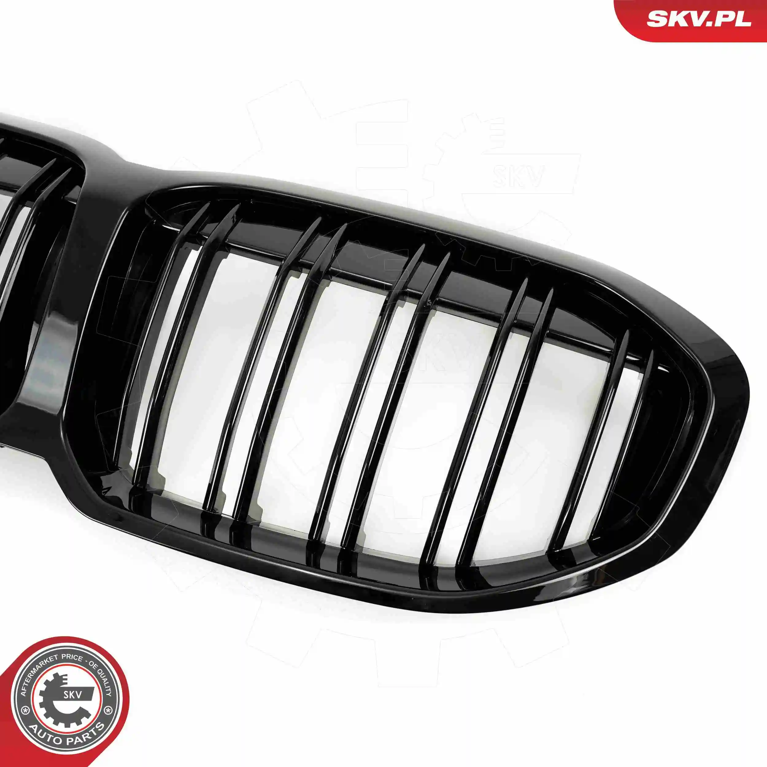 Parrilla 51135A39366 BMW