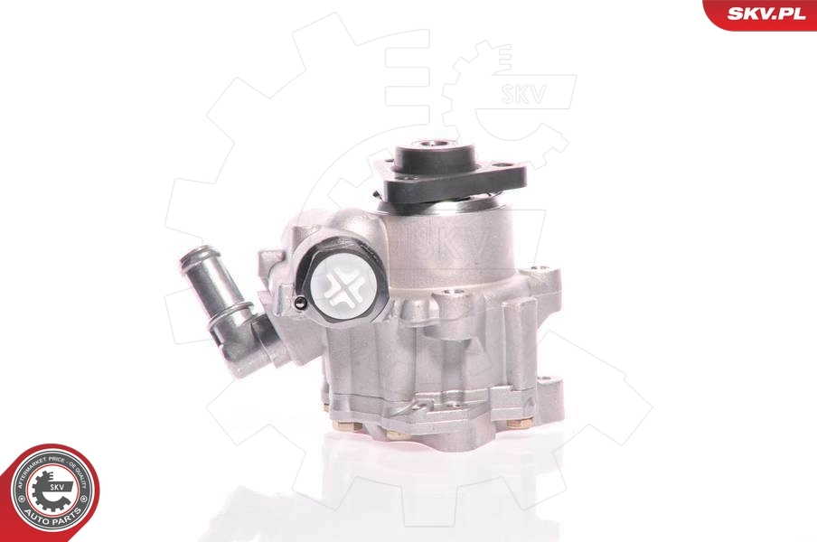 10SKV161 SKV