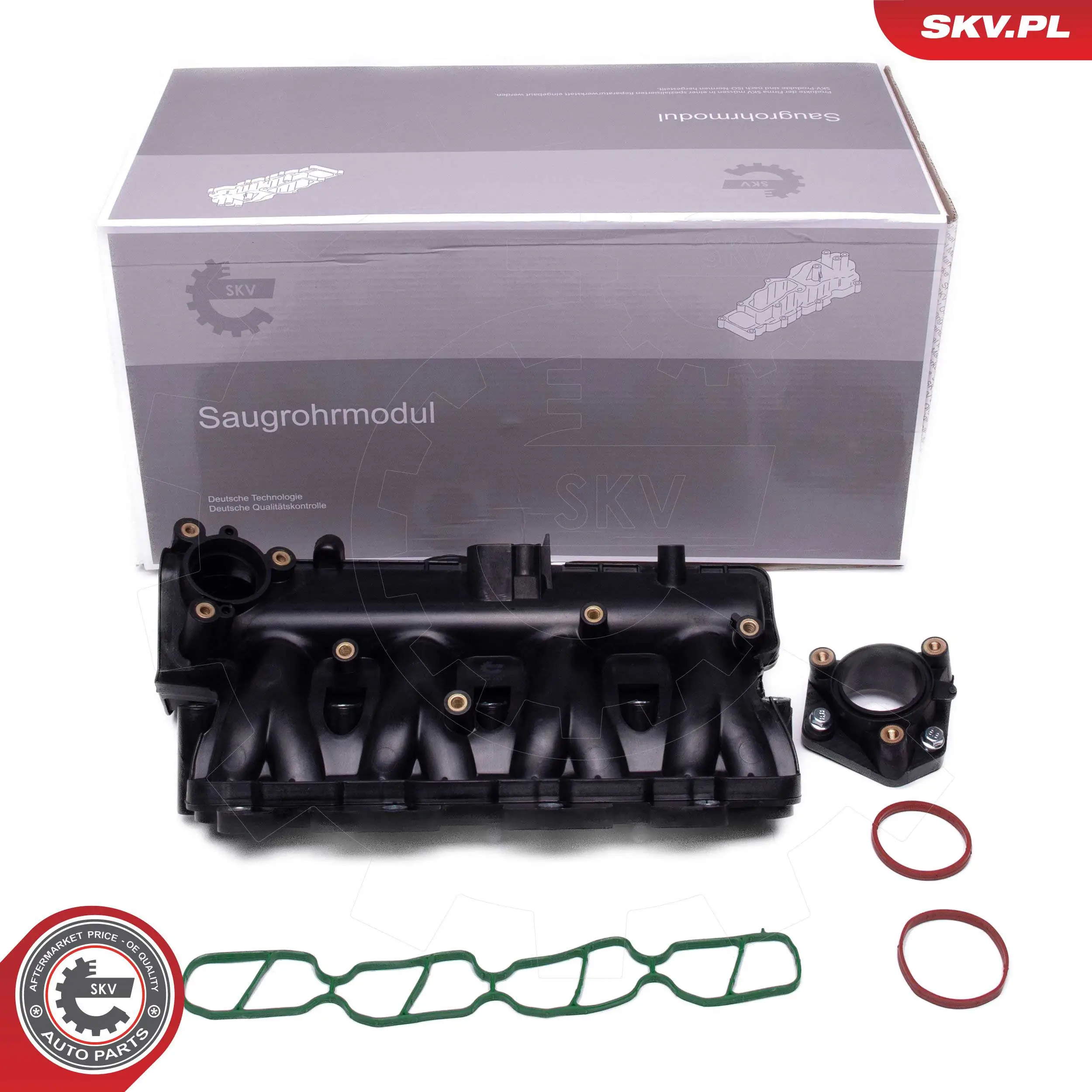 49SKV081 SKV