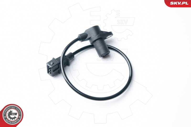 17SKV295 SKV