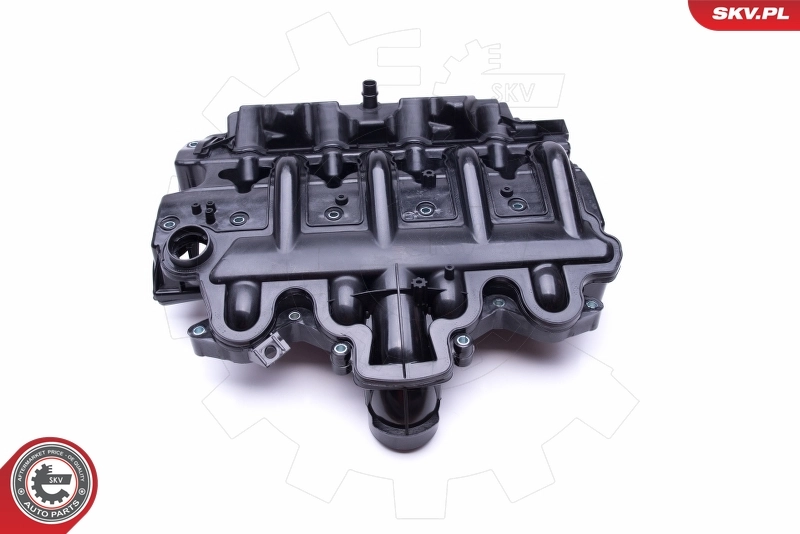 Tapa de la válvula SKV 49SKV021 precio, desde 157,59 EUR