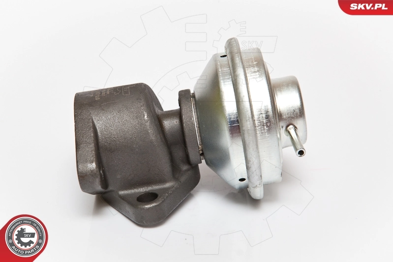 EGR Magneti Marelli EV107