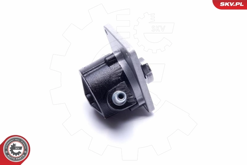 Depresor de freno  Peugeot/Citroen 504019972