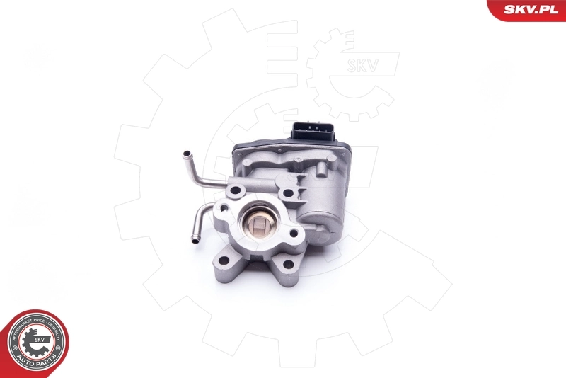 Comprar 14SKV189 SKV Válvula EGR