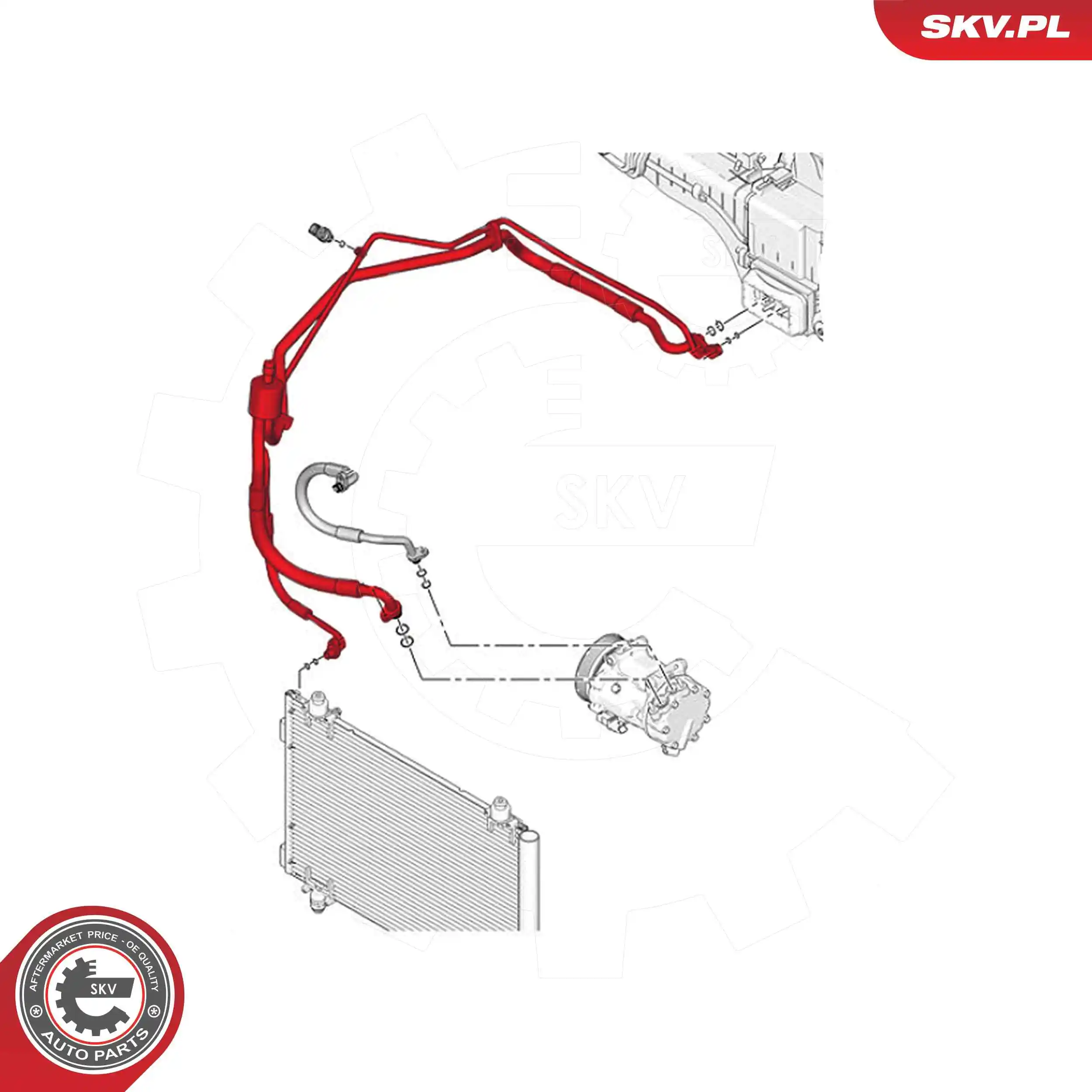 43SKV591 SKV