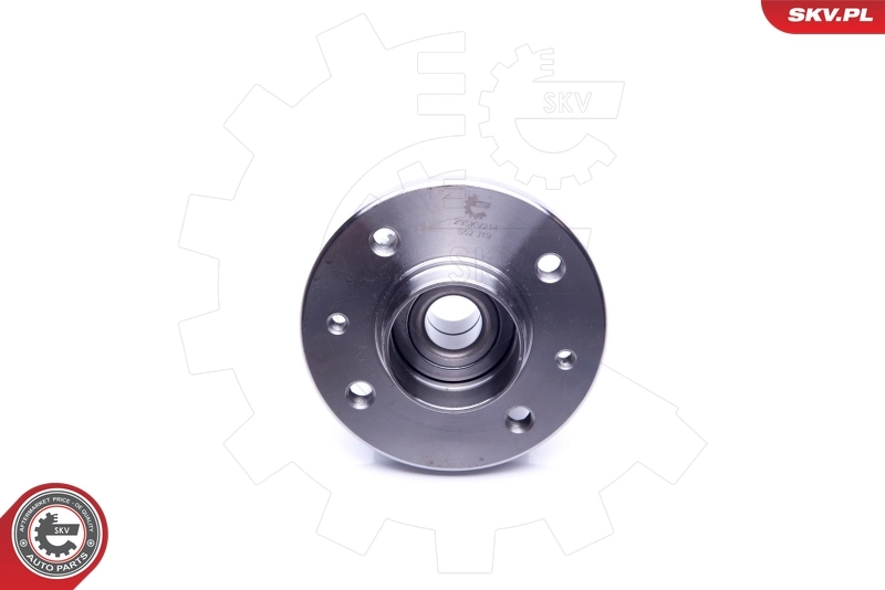 Cubo de rueda trasero 29SKV214 SKV