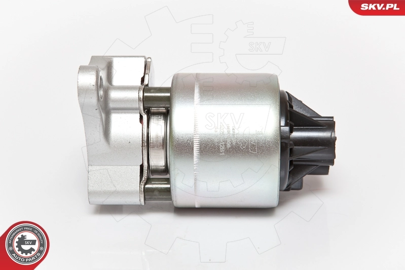 EGR Fiat Punto I