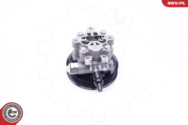 10SKV265 SKV