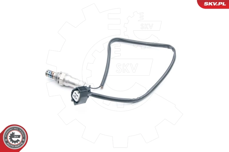 09SKV744 SKV