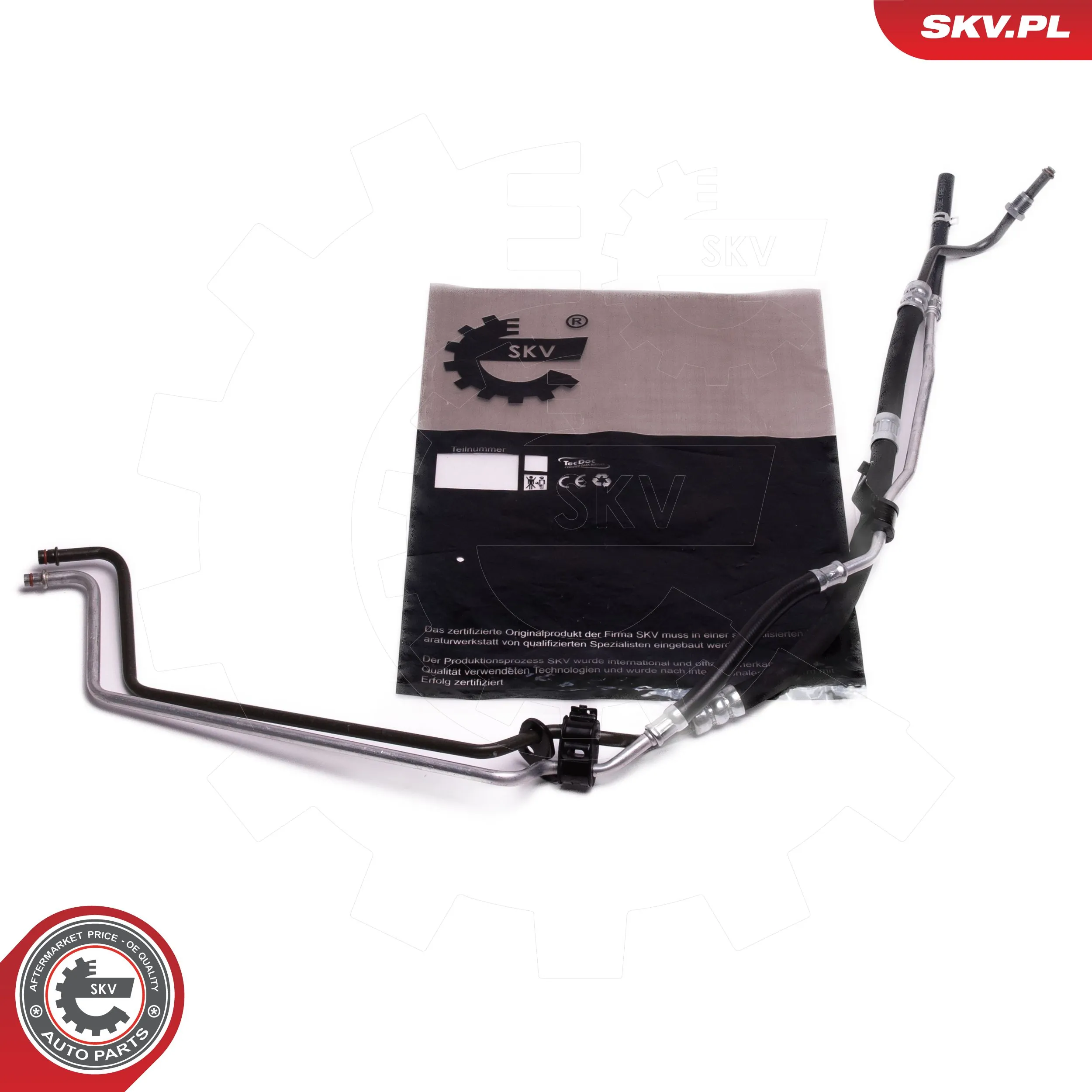 10SKV861 SKV