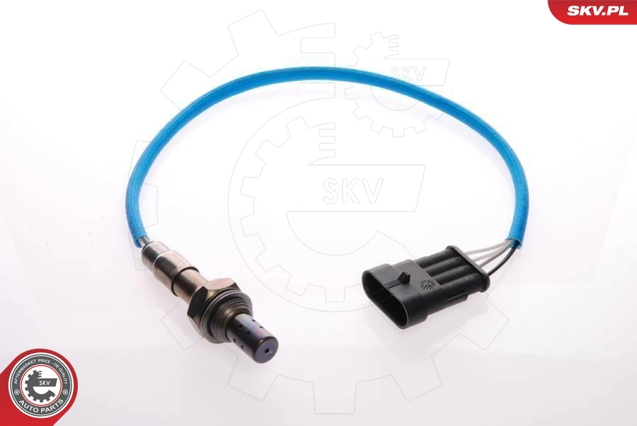 09SKV059 SKV