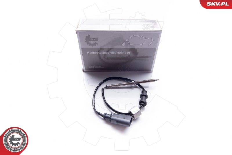 30SKV029 SKV