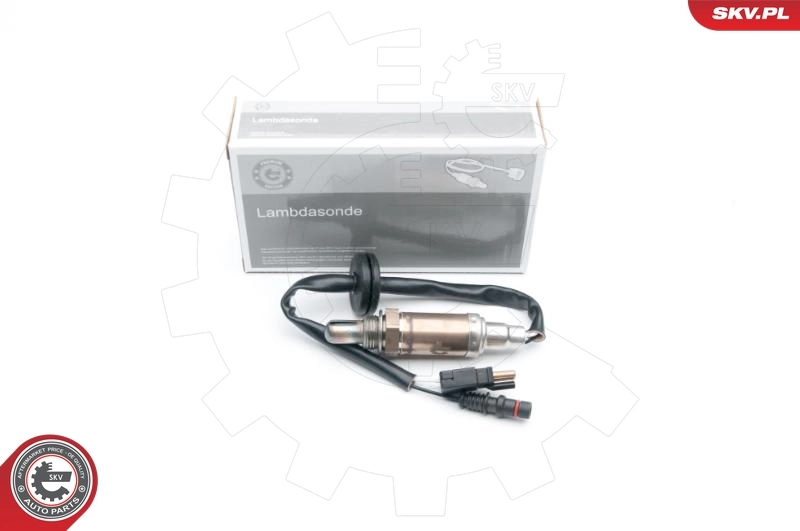 09SKV548 SKV
