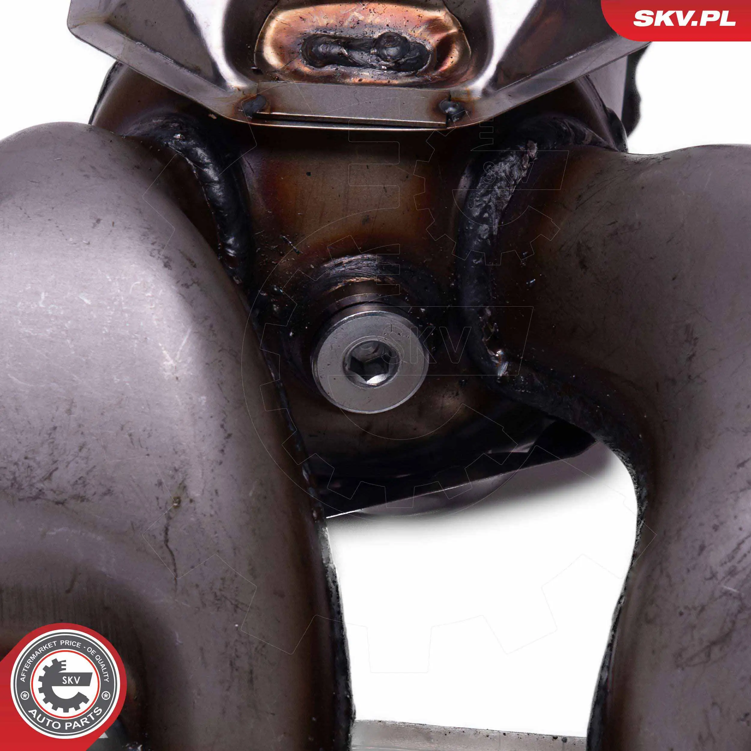Comprar 62SKV023 SKV Catalizador