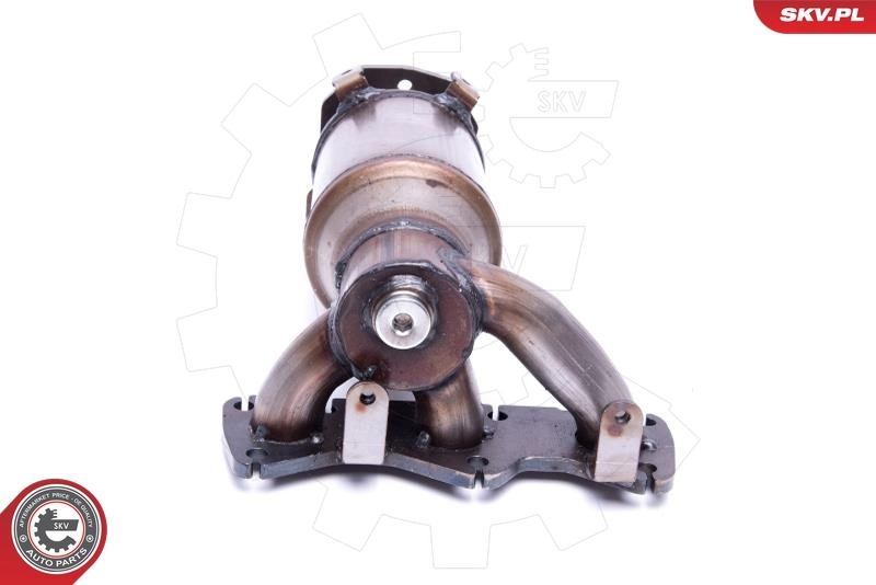 Comprar 62SKV010 SKV Catalizador