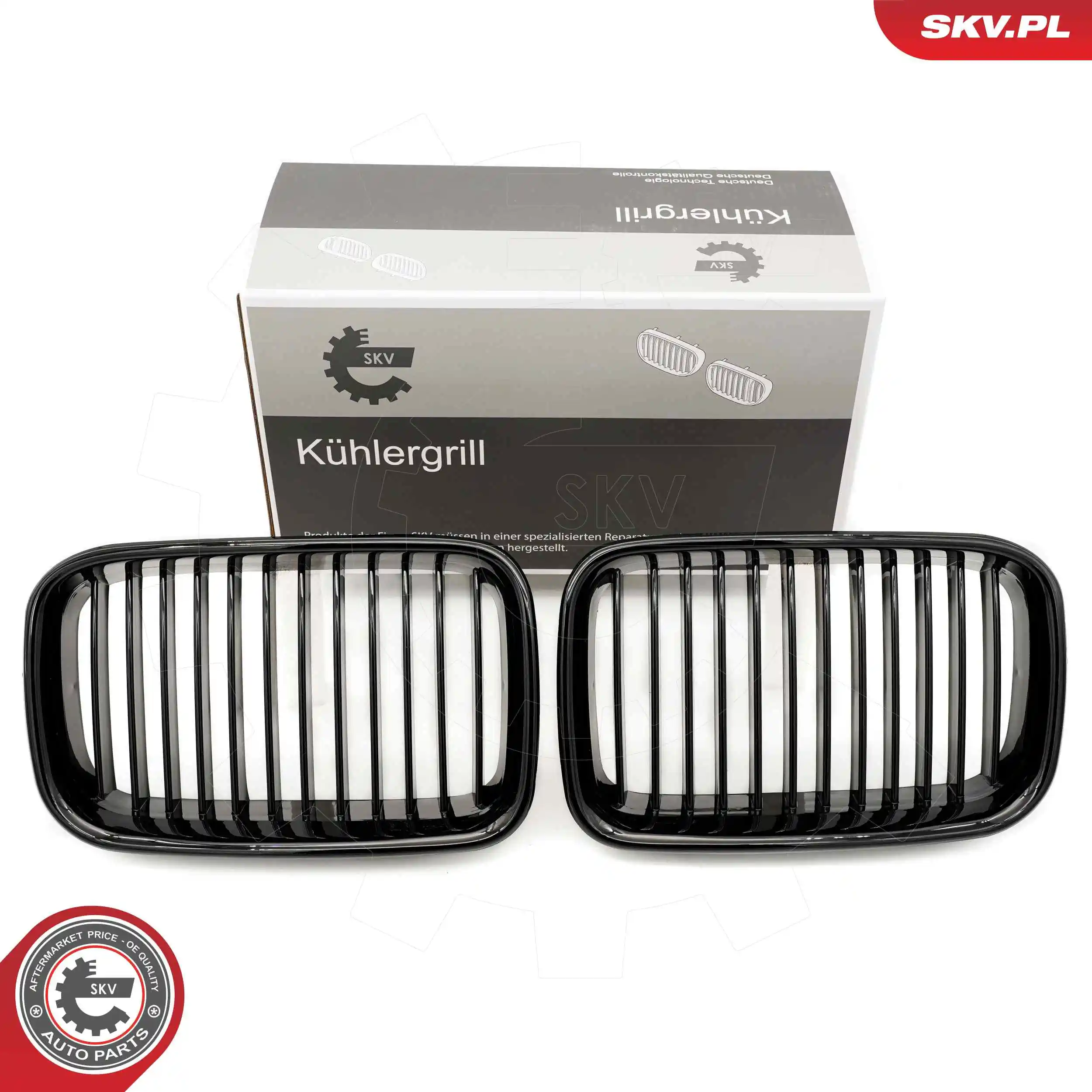 66SKV043 SKV