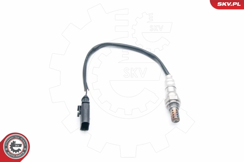 09SKV697 SKV