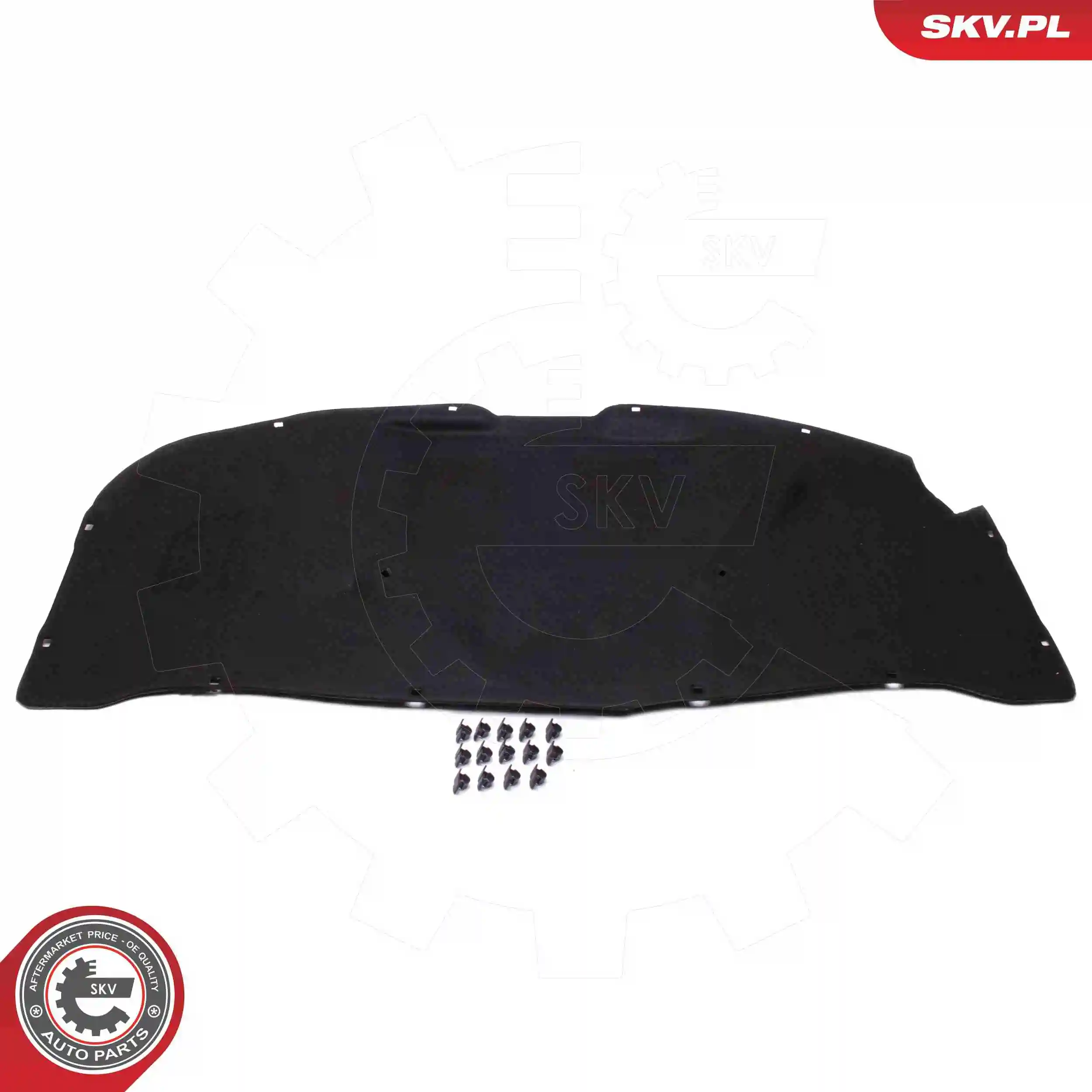 Aislamiento del Capó Volkswagen Passat  (3B2)