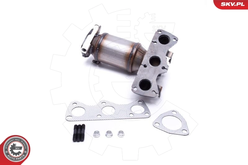 Catalizador SKV 62SKV010 precio, desde 187,35 EUR