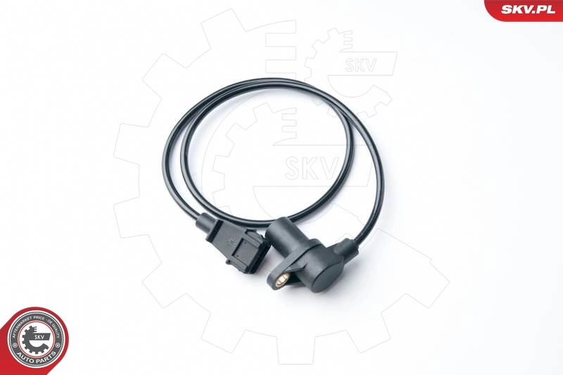 17SKV296 SKV