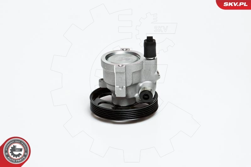 10SKV151 SKV
