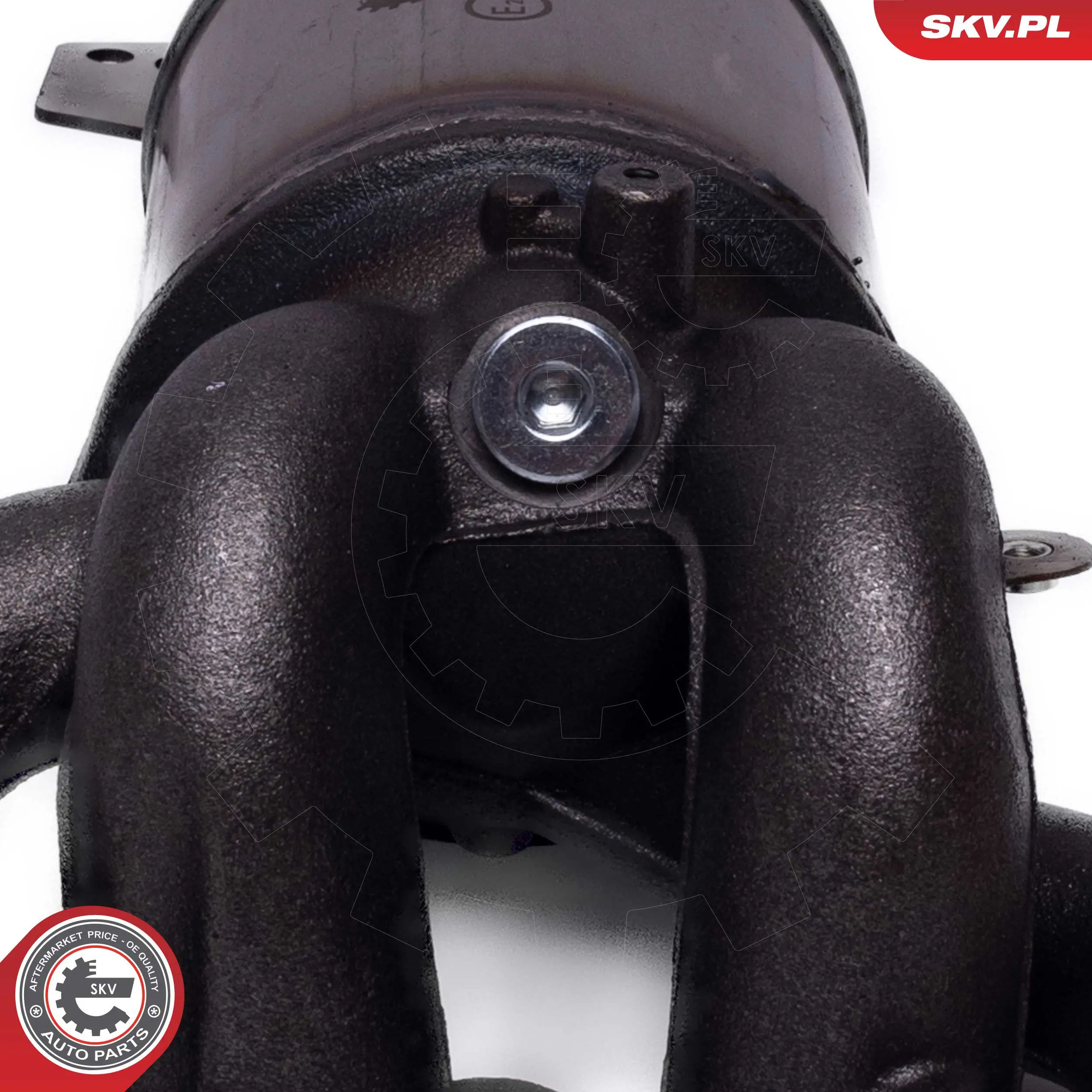Comprar 62SKV008 SKV Catalizador