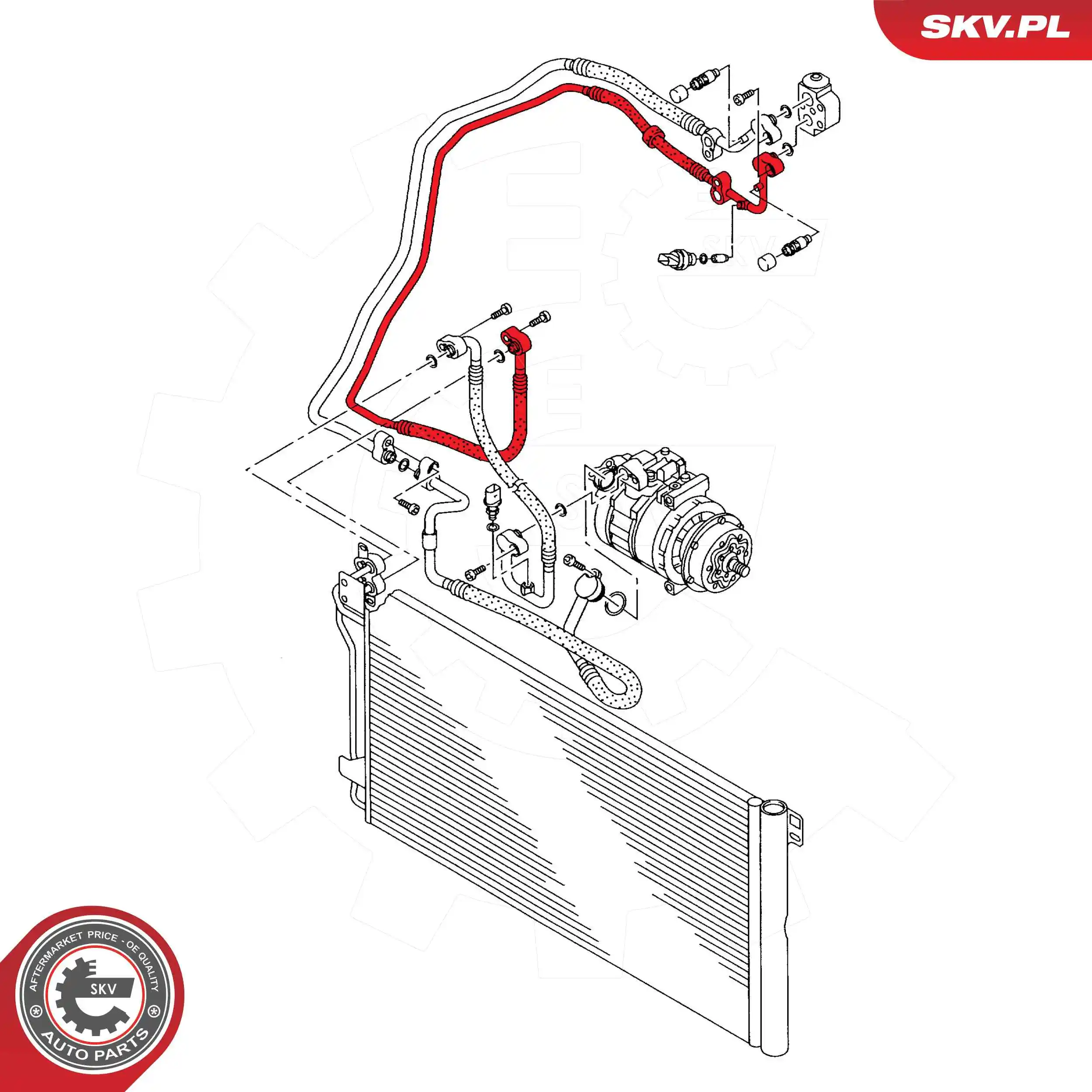  43SKV560 SKV