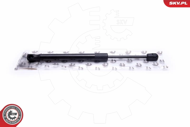 52SKV069 SKV