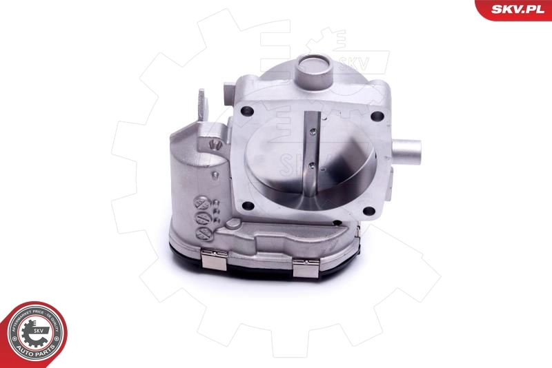 Cuerpo de aceleración completo SKV 12SKV118 precio, desde 150,15 EUR