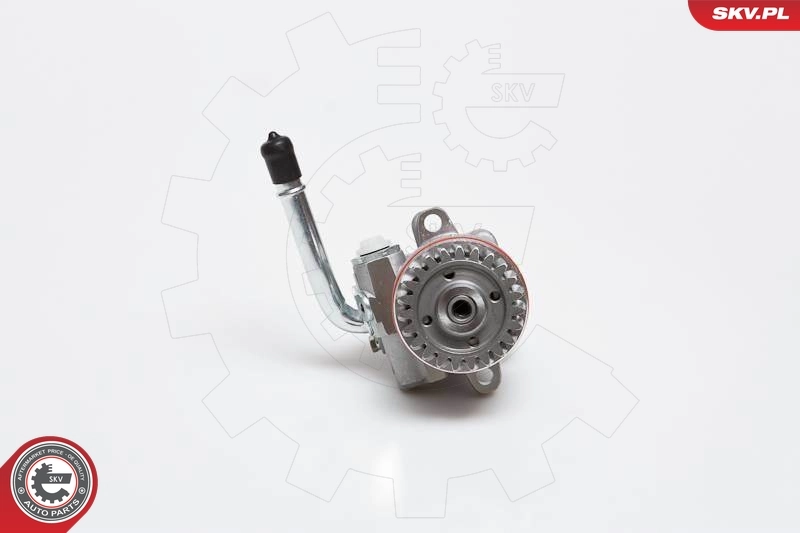 10SKV136 SKV